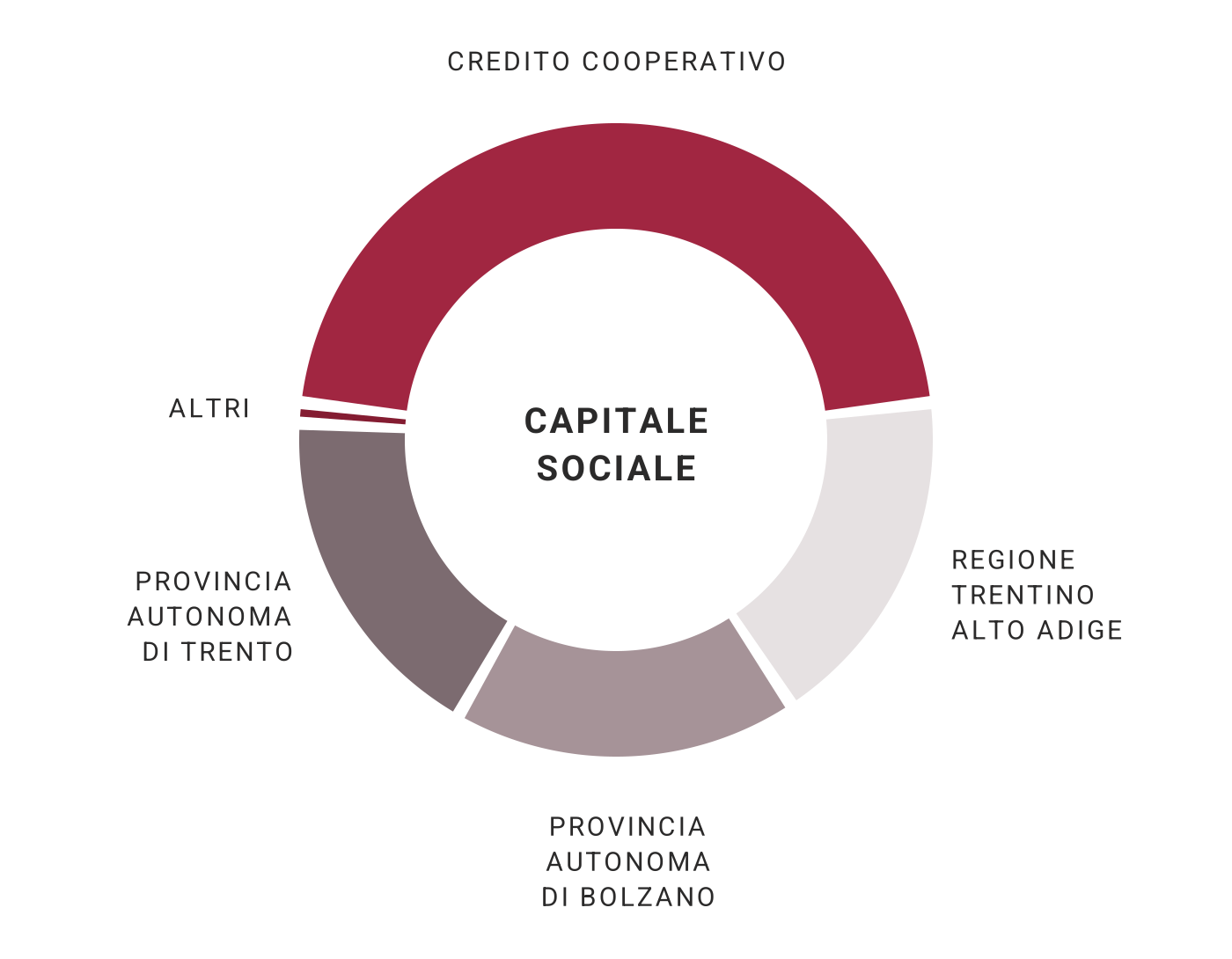 Grafico ad anello intitolato “Capitale sociale”. Mostra la composizione dell’azionariato di Mediocredito Trentino Alto Adige. Lo spicchio più grande è il Credito Cooperativo, con il 47,147%. Seguono tre spicchi uguali da 17,489% ciascuno: Regione Trentino Alto Adige, Provincia autonoma di Trento e Provincia autonoma di Bolzano. Una sottile striscia rappresenta gli altri soci, con lo 0,388%.
